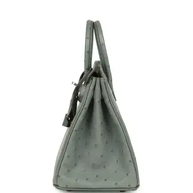 HERMÈS Hermes Birkin 25 Vert Amande Ostrich Palladium Hardware | Thumbnail 3 HERMÈS Hermes Birkin 25 Vert Amande Ostrich Palladium Hardware | Thumbnail 3
