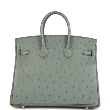 HERMÈS Hermes Birkin 25 Vert Amande Ostrich Palladium Hardware | Thumbnail 4 HERMÈS Hermes Birkin 25 Vert Amande Ostrich Palladium Hardware | Thumbnail 4