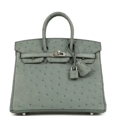 HERMÈS Hermes Birkin 25 Vert Amande Ostrich Palladium Hardware | Thumbnail 1 HERMÈS Hermes Birkin 25 Vert Amande Ostrich Palladium Hardware | Thumbnail 1