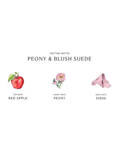 Jo Malone London Peony & Blush Suede Home Candle | Thumbnail 5 Jo Malone London Peony & Blush Suede Home Candle | Thumbnail 5