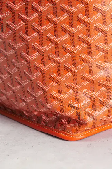 goyard Goyard Saint Louis PM Tote Bag | Thumbnail 11 goyard Goyard Saint Louis PM Tote Bag | Thumbnail 11