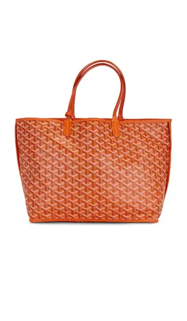 goyard Goyard Saint Louis PM Tote Bag | Thumbnail 1 goyard Goyard Saint Louis PM Tote Bag | Thumbnail 1
