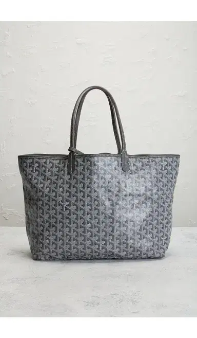 goyard Saint Louis PM Tote Bag | Thumbnail 2 goyard Saint Louis PM Tote Bag | Thumbnail 2