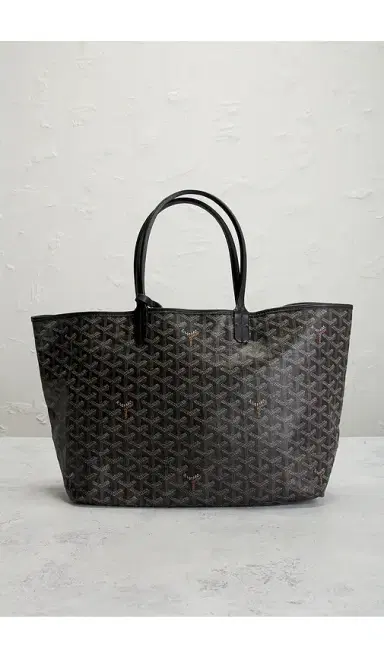 goyard Saint Louis PM Tote Bag | Thumbnail 2 goyard Saint Louis PM Tote Bag | Thumbnail 2