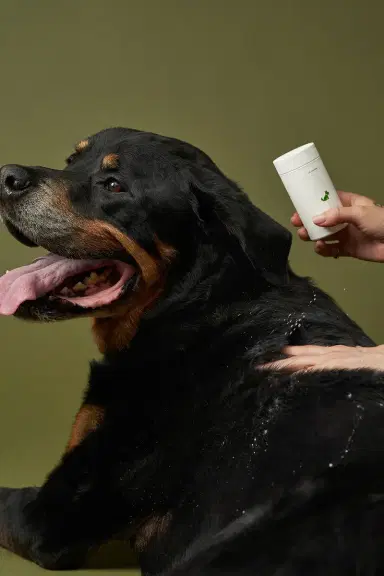 Lil Luv Dog Dry Shampoo | Thumbnail 5 Lil Luv Dog Dry Shampoo | Thumbnail 5