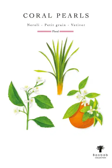 Baobab Collection Coral Pearls Max 10 Candle | Thumbnail 2 Baobab Collection Coral Pearls Max 10 Candle | Thumbnail 2