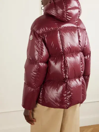Moncler Parana Quilted Shell Down Jacket | Thumbnail 4 Moncler Parana Quilted Shell Down Jacket | Thumbnail 4