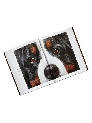 Graphic Image ''Good Dog'' Leather-Bound Book - | Thumbnail 6 Graphic Image ''Good Dog'' Leather-Bound Book - | Thumbnail 6