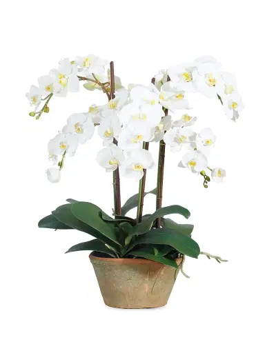 Winward Home Faux Phalaenopsis Potted Planter - White | Thumbnail 1 Winward Home Faux Phalaenopsis Potted Planter - White | Thumbnail 1
