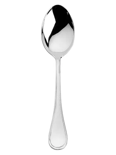 Degrenne Paris Verlaine Serving Spoon - Silver | Thumbnail 1 Degrenne Paris Verlaine Serving Spoon - Silver | Thumbnail 1