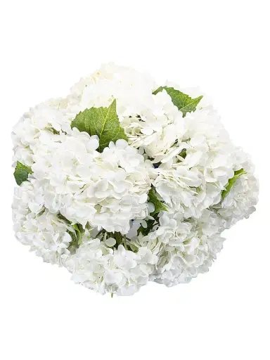 CocoBella Tinsley RealTouch Hydrangea Arrangement - Snow | Thumbnail 2 CocoBella Tinsley RealTouch Hydrangea Arrangement - Snow | Thumbnail 2