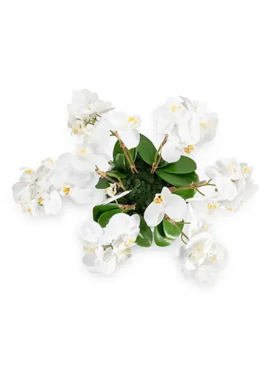 CocoBella Jetta Oversized Real Touch Orchid Arrangement - White | Thumbnail 2 CocoBella Jetta Oversized Real Touch Orchid Arrangement - White | Thumbnail 2