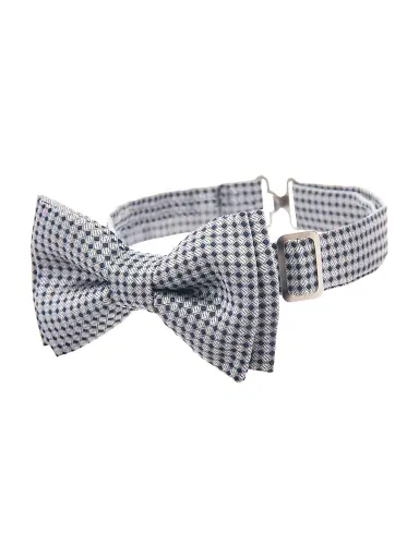 Moustache Little Boy's & Boy's Pin Vest & Bow-Tie - Grey - Size 14 | Thumbnail 3 Moustache Little Boy's & Boy's Pin Vest & Bow-Tie - Grey - Size 14 | Thumbnail 3