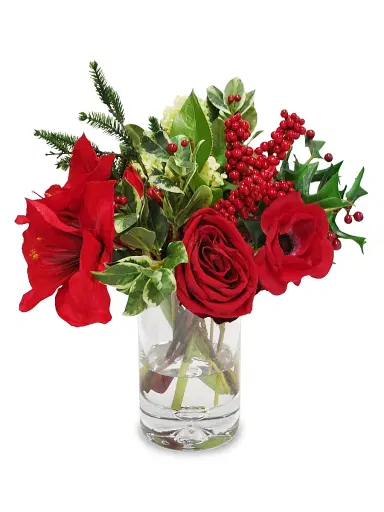 Winward Home Holiday Amaryllis Snowball In Vase | Thumbnail 1 Winward Home Holiday Amaryllis Snowball In Vase | Thumbnail 1