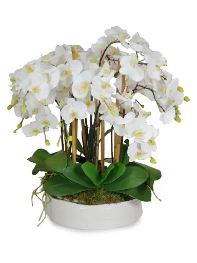 Winward Home Everyday Floral Imitation Orchids In Coil Ceramic Bowl | Thumbnail 1 Winward Home Everyday Floral Imitation Orchids In Coil Ceramic Bowl | Thumbnail 1