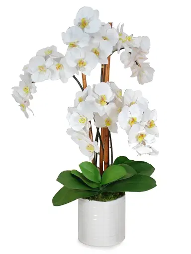Winward Home Everyday Floral Imitation Orchids In Urban Coil Bowl | Thumbnail 1 Winward Home Everyday Floral Imitation Orchids In Urban Coil Bowl | Thumbnail 1