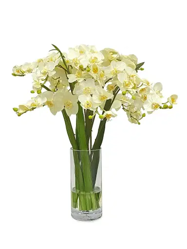 Winward Home Faux Phalaenopsis Floral Arrangement - White | Thumbnail 1 Winward Home Faux Phalaenopsis Floral Arrangement - White | Thumbnail 1