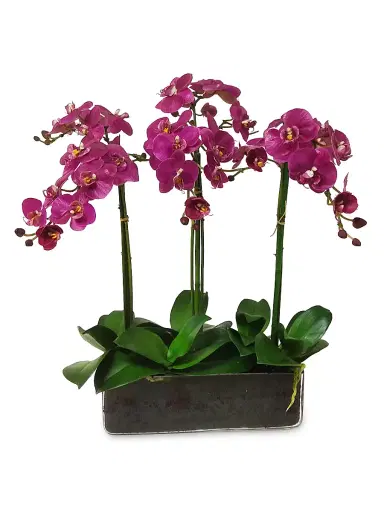 Winward Home Faux Orchid Phalaenopsis Floral Arrangement | Thumbnail 1 Winward Home Faux Orchid Phalaenopsis Floral Arrangement | Thumbnail 1