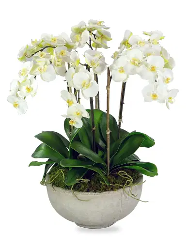 Winward Home Everyday Floral Imitation Orchids In Bowl | Thumbnail 1 Winward Home Everyday Floral Imitation Orchids In Bowl | Thumbnail 1