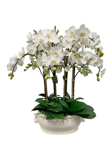 Winward Home Faux Orchid Cache Pot | Thumbnail 1 Winward Home Faux Orchid Cache Pot | Thumbnail 1