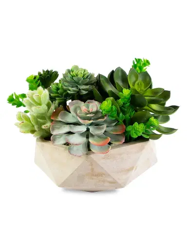Winward Home Everyday Floral Mix Succulent In Hexagon Vase | Thumbnail 1 Winward Home Everyday Floral Mix Succulent In Hexagon Vase | Thumbnail 1