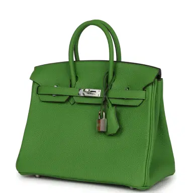 HERMÈS Hermes Birkin 25 Vert Yucca Togo Palladium Hardware | Thumbnail 5 HERMÈS Hermes Birkin 25 Vert Yucca Togo Palladium Hardware | Thumbnail 5