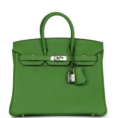 HERMÈS Hermes Birkin 25 Vert Yucca Togo Palladium Hardware | Thumbnail 1 HERMÈS Hermes Birkin 25 Vert Yucca Togo Palladium Hardware | Thumbnail 1