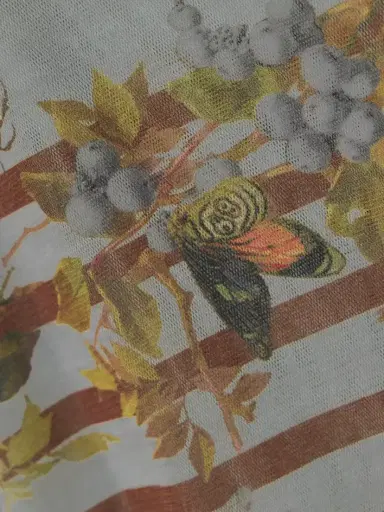Jean Paul Gaultier Marinière Grape Printed Mesh T-shirt | Thumbnail 4 Jean Paul Gaultier Marinière Grape Printed Mesh T-shirt | Thumbnail 4
