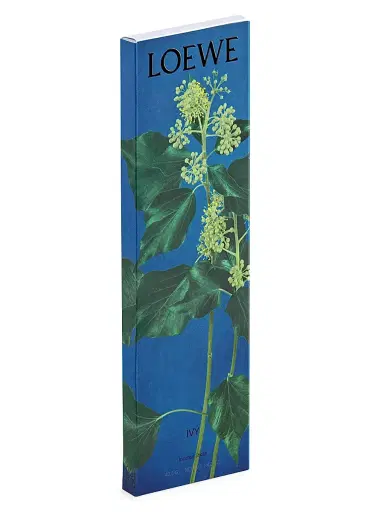 LOEWE Perfumes Ivy Refill Incense Sticks | Thumbnail 2 LOEWE Perfumes Ivy Refill Incense Sticks | Thumbnail 2