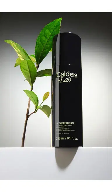 Caldera + Lab Caldera + Lab The Conditioner Repairing Conditioner | Thumbnail 2 Caldera + Lab Caldera + Lab The Conditioner Repairing Conditioner | Thumbnail 2