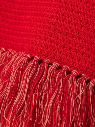 ESCVDO Amada Cropped Fringed Crocheted Cotton Top | Thumbnail 4 ESCVDO Amada Cropped Fringed Crocheted Cotton Top | Thumbnail 4