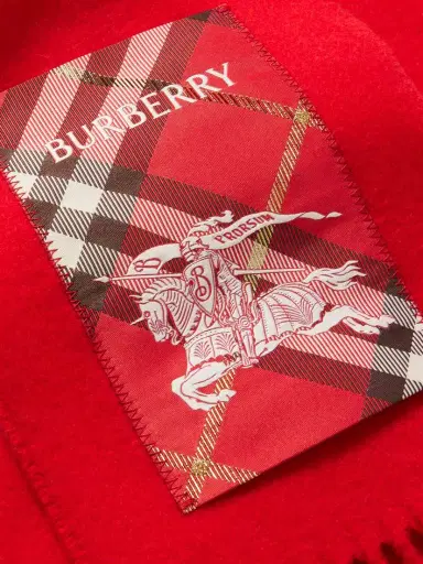 Burberry Appliquéd Fringed Cashmere Scarf | Thumbnail 3 Burberry Appliquéd Fringed Cashmere Scarf | Thumbnail 3