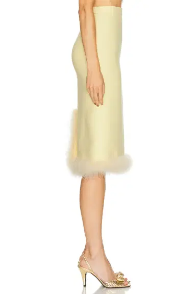 Valentino Feather Skirt | Thumbnail 3 Valentino Feather Skirt | Thumbnail 3