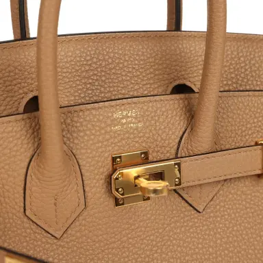 HERMÈS Hermes Birkin 25 Chai Togo Gold Hardware | Thumbnail 7 HERMÈS Hermes Birkin 25 Chai Togo Gold Hardware | Thumbnail 7