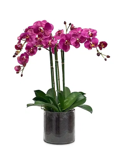 Winward Home Faux Floral Orchid Phalaenopsis in Glass Vase | Thumbnail 1 Winward Home Faux Floral Orchid Phalaenopsis in Glass Vase | Thumbnail 1
