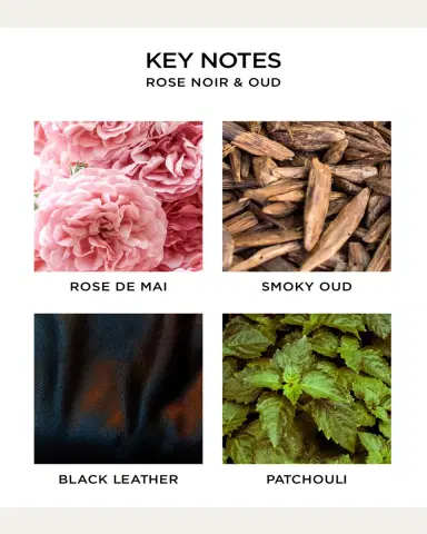 NEST New York 5.9 oz. Rose Noir & Oud Reed Diffuser | Thumbnail 5 NEST New York 5.9 oz. Rose Noir & Oud Reed Diffuser | Thumbnail 5