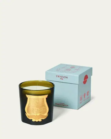 Trudon Ernesto Leather & Tobacco Candle, 9.5 oz. | Thumbnail 2 Trudon Ernesto Leather & Tobacco Candle, 9.5 oz. | Thumbnail 2