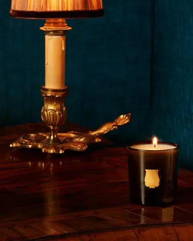 Trudon Ernesto Leather & Tobacco Candle, 9.5 oz. | Thumbnail 4 Trudon Ernesto Leather & Tobacco Candle, 9.5 oz. | Thumbnail 4