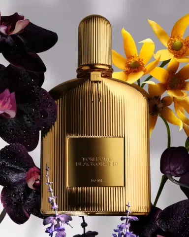 TOM FORD Black Orchid Parfum, 1.7 oz. | Thumbnail 2 TOM FORD Black Orchid Parfum, 1.7 oz. | Thumbnail 2