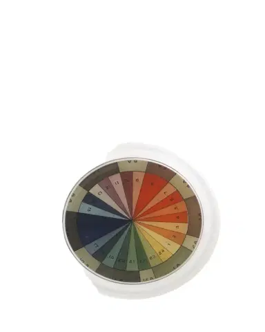 John Derian Color Wheel Coaster | Thumbnail 1 John Derian Color Wheel Coaster | Thumbnail 1