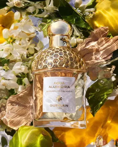 Guerlain Aqua Allegoria Bergamote Calabria Eau de Toilette, 2.5 oz. | Thumbnail 2 Guerlain Aqua Allegoria Bergamote Calabria Eau de Toilette, 2.5 oz. | Thumbnail 2