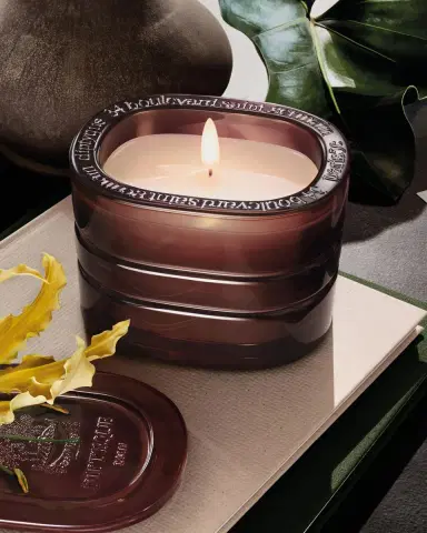 Diptyque La Foret Reve (Forest Dreams) Refillable Candle, 9.5 oz. | Thumbnail 5 Diptyque La Foret Reve (Forest Dreams) Refillable Candle, 9.5 oz. | Thumbnail 5