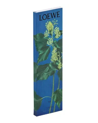 Loewe Ivy Incense Refill Sticks | Thumbnail 1 Loewe Ivy Incense Refill Sticks | Thumbnail 1
