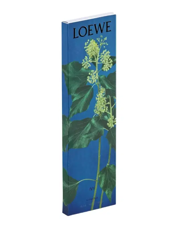 Ivy Incense Refill Sticks Ivy Incense Refill Sticks