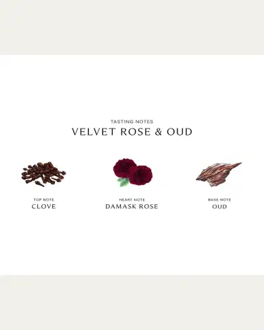 Jo Malone London Velvet Rose and Oud Cologne Intense, 1.7 oz. | Thumbnail 3 Jo Malone London Velvet Rose and Oud Cologne Intense, 1.7 oz. | Thumbnail 3