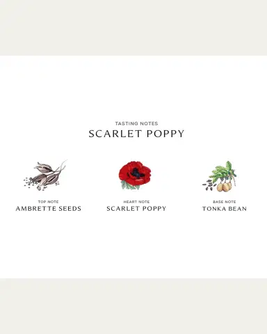 Jo Malone London Scarlet Poppy Cologne Intense, 1.7 oz. | Thumbnail 3 Jo Malone London Scarlet Poppy Cologne Intense, 1.7 oz. | Thumbnail 3