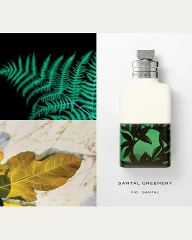 Dries Van Noten Santal Greenery Eau de Parfum, 3.4 oz. | Thumbnail 2 Dries Van Noten Santal Greenery Eau de Parfum, 3.4 oz. | Thumbnail 2