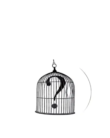 Rory Dobner Question Mark Birdcage Salad/Dessert Plate | Thumbnail 1 Rory Dobner Question Mark Birdcage Salad/Dessert Plate | Thumbnail 1