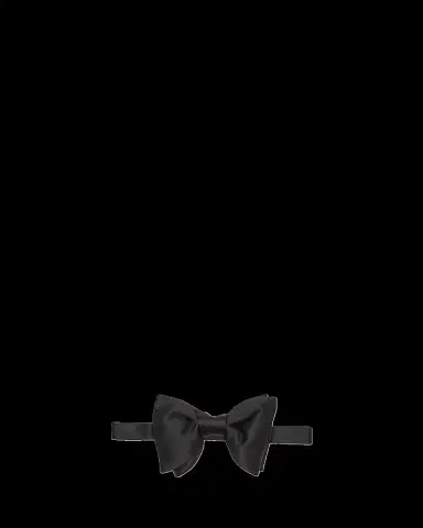 Tom Ford Men's Large Silk Bow Tie | Thumbnail 2 Tom Ford Men's Large Silk Bow Tie | Thumbnail 2