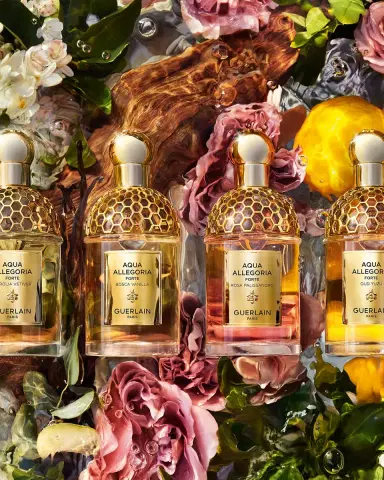 Guerlain Aqua Allegoria Bosca Vanilla Forte Eau de Parfum, 2.5 oz. | Thumbnail 5 Guerlain Aqua Allegoria Bosca Vanilla Forte Eau de Parfum, 2.5 oz. | Thumbnail 5
